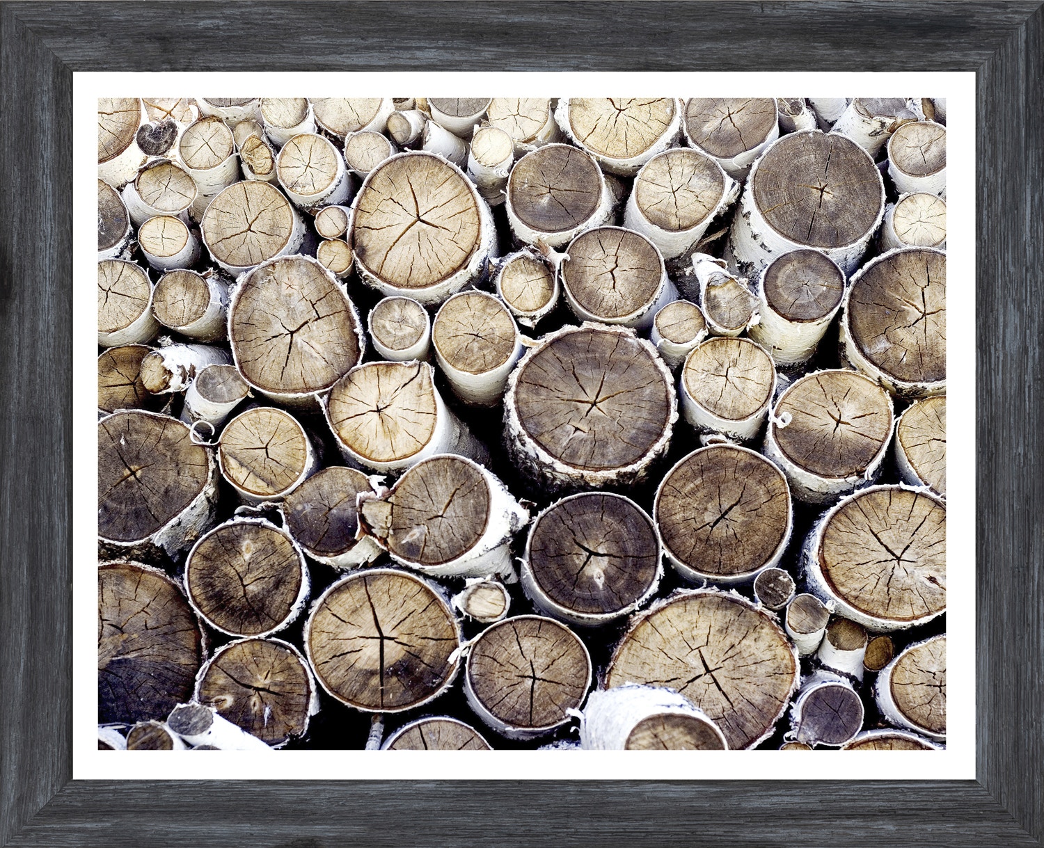  Colorado Style Artwork Tree Story