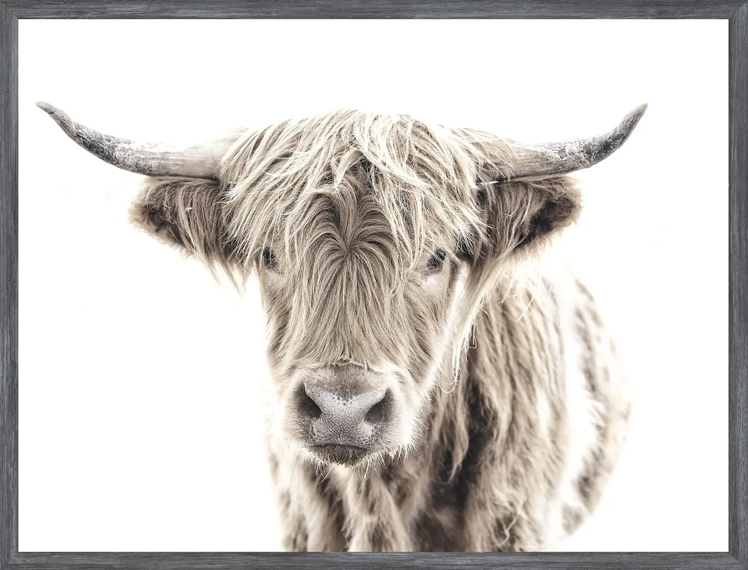 Colorado Style Artwork Trimmed To Perfection