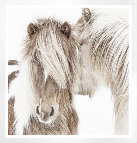  Colorado Style Artwork Two Ponies
